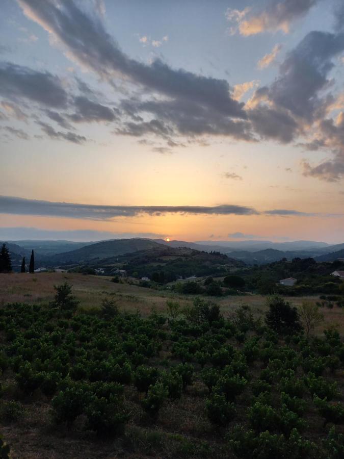 Gite Vigneron Du Domaine D'Alon Magrie Exterior foto