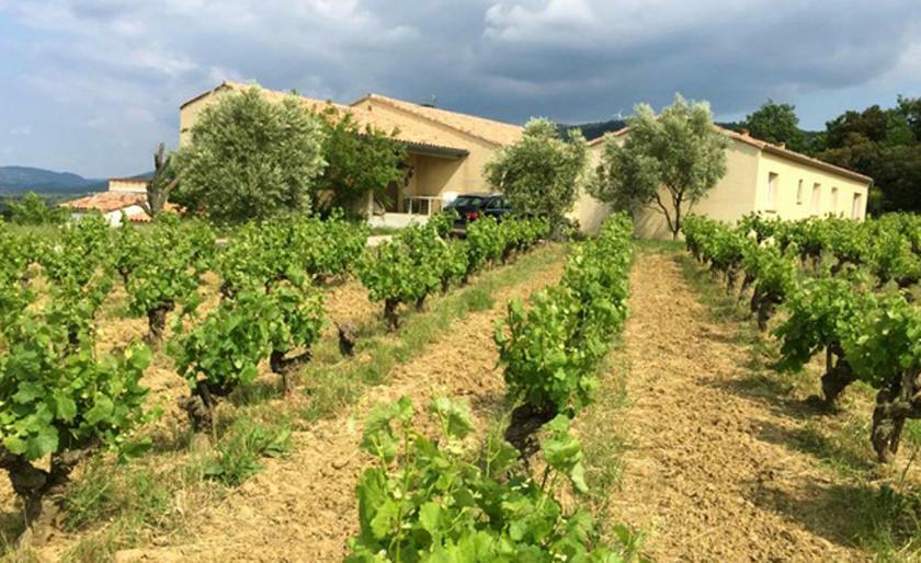 Gite Vigneron Du Domaine D'Alon Magrie Exterior foto
