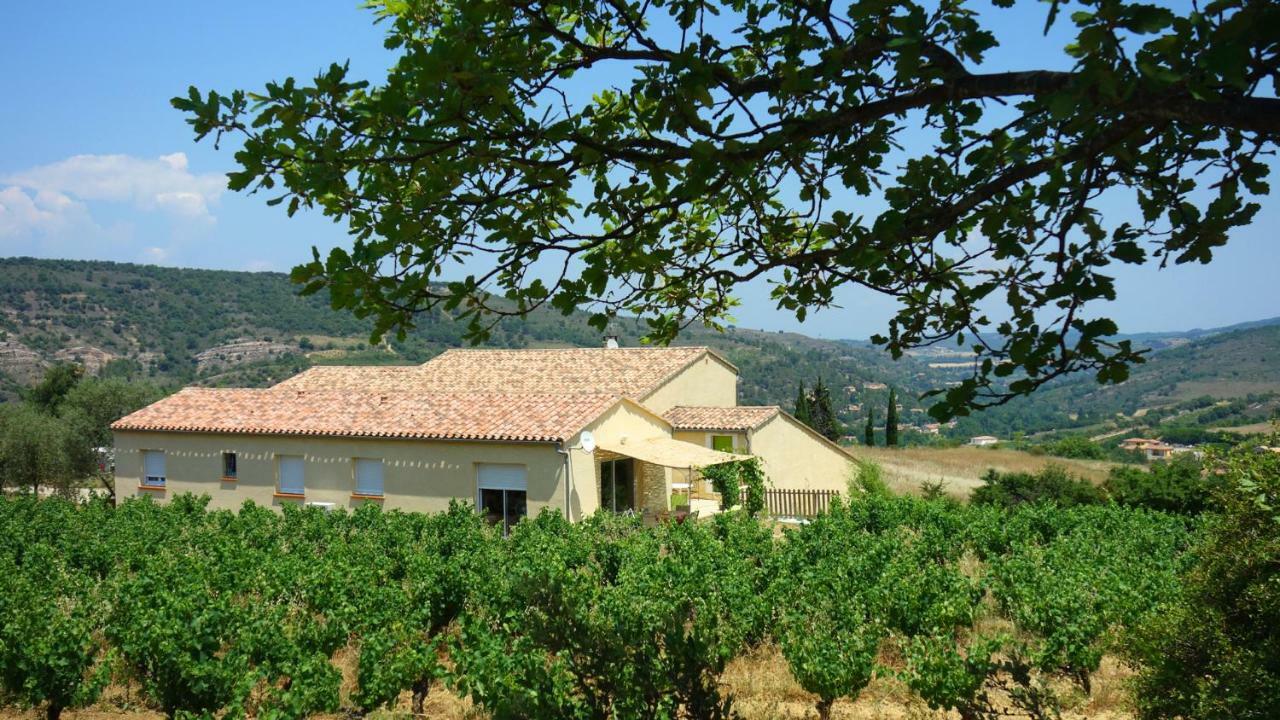 Gite Vigneron Du Domaine D'Alon Magrie Exterior foto