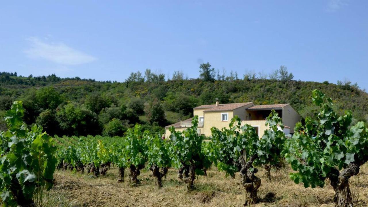Gite Vigneron Du Domaine D'Alon Magrie Exterior foto